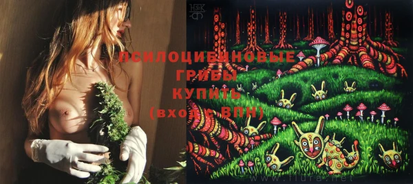 ECSTASY Абдулино