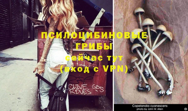 бутик Пересвет